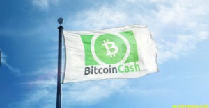 Ảnh của Bitcoin đã chết, Bitcoin Cash mới là đồng thống trị thị trường?