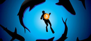 Ảnh của “Cá mập” đang kiểm soát 35,4% nguồn cung – Bitcoin đang dần bị trập trung hóa?