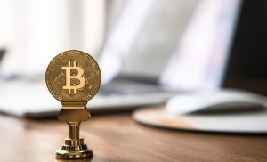 Ảnh của Mùa đông crypto đã kết thúc nhưng bò vẫn chưa xuất hiện trên Bitcoin.