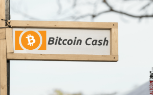 Ảnh của Các ông lớn từ Trung Quốc nhảy vào cuộc chơi với Bitcoin Cash