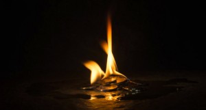 Ảnh của Bitmain sẽ “đốt” 12% phí giao dịch Bitcoin Cash, kêu gọi các thợ đào khác cùng tham gia