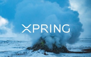 Ảnh của Ripple triển khai quỹ đầu tư “Xpring” để thúc đẩy tốc độ tiếp nhận XRP