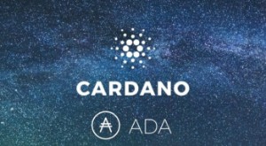 Ảnh của Cardano được niêm yết trên sàn giao dịch Cryptopia của New Zealand.