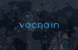 Ảnh của VeChain đang “bay” trong giai đoạn ra mắt MainNet !