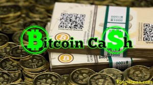 Ảnh của Bitcoin Cash là gì? Tổng quan về Bitcoin hard fork ngày 1/8