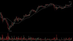 Ảnh của Giá Bitcoin tăng lên 1250$ đạt ngưỡng cao nhất trong 30 ngày