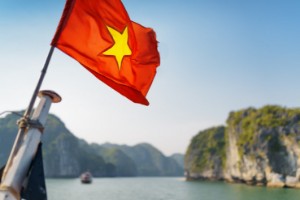 Ảnh của Giấy phép kinh doanh OneCoin tại Việt Nam được Chính phủ tuyên bố là giả mạo