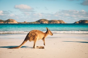 Ảnh của Australia “bật đèn xanh” cho dự luật quản lí Bitcoin