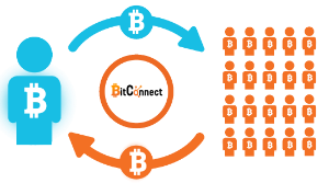 Ảnh của Bitconnect là gì? Hướng dẫn cách đầu tư vào Bitconnect.co (BCC) an toàn.