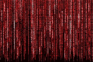 Ảnh của Sàn giao dịch Kraken và Poloniex bị tấn công DDoS, nhiều nhà đầu tư thiệt hại nặng nề