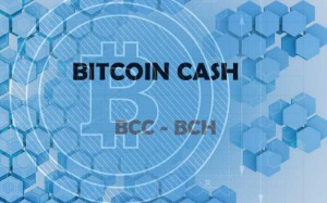 Ảnh của Poloniex và Coinbase cuối cùng cũng xem xét về việc gửi Bitcoin Cash cho khách hàng
