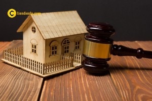 Ảnh của Italia lần đầu tiên trong lịch sử đã chấp nhận đấu giá bằng Bitcoin