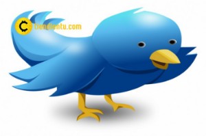 Ảnh của Twitter trở thành mạng xã hội yêu thích của người dùng tiền điện tử