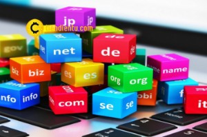 Ảnh của Bitcoin và những tên miền liên quan đạt mức giá kỷ lục trên thị trường