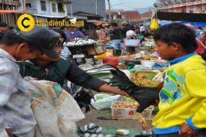 Ảnh của BNM phát hành bản thảo hướng dẫn sử dụng tiền điện tử cho người dân Malaysia