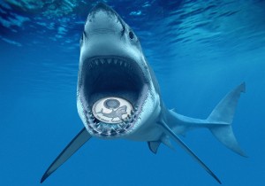 Ảnh của SharkCoin bán hết 1 triệu coin trong vòng 32 giờ