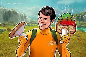 Ảnh của 6 Tiêu chí quan trọng để phân tích một ICO