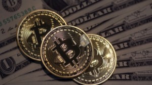Ảnh của 500 Bitcoin bị tịch thu trong một chiến dịch truy quét tội phạm tại Mỹ