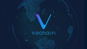 Ảnh của Vechain là gì? Tổng quan về đồng tiền điện tử Vechain coin (VEN)