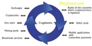 Ảnh của Cryptonex là gì? Thông tin cần biết về đồng tiền mã hóa Cryptonex Coin (CNX)