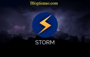 Ảnh của Storm là gì? Tổng quan về đồng ảo tiền kỹ thuật số Storm Coin (STORM)
