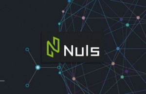 Ảnh của Nuls là gì? Tổng quan về đồng tiền ảo kỹ thuật số Nuls Coin (NULS)