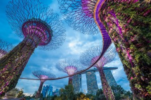 Ảnh của Singapore tăng tốc quá trình phê duyệt bằng sáng chế công nghệ Blockchain