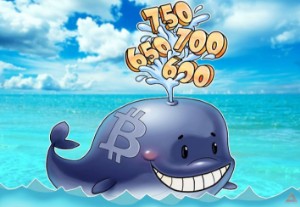 Ảnh của Bitcoin trên đà tăng giá mạnh, cổ phiếu của các công ty dựa hơi crypto tăng điểm chóng mặt