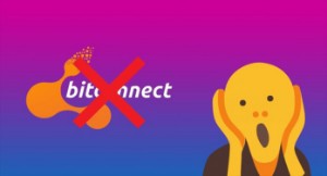 Ảnh của Rúng động!!! Chủ dự án Bitconnect Scam lớn nhất lịch sử Crypto là người Việt Nam???