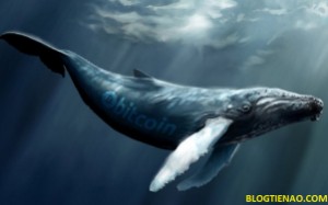 Ảnh của Silk Road bán tháo Bitcoin? Ví Bitcoin có giá 800 triệu USD hoạt động thần bí.