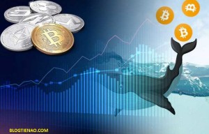 Ảnh của Cuộc sống thường ngày của một nhà đầu tư “cá voi”