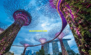 Ảnh của Singapore có thể sẽ là quốc gia đầu tiên chấp nhận tiền điện tử hoàn toàn.