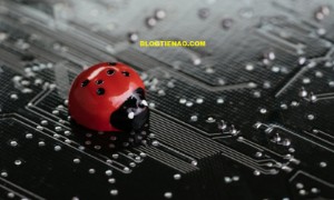 Ảnh của John Newbery: Tôi chịu trách nhiệm về lỗ hổng Bitcoin tồi tệ nhất kể từ năm 2010.