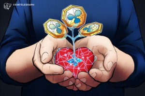 Ảnh của Ripple công bố quỹ liên doanh từ thiện 105 triệu đô cho giáo dục và tài chính