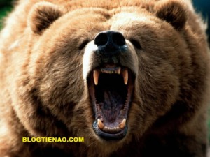 Ảnh của Phân tích giá trong ngày của Bitcoin: BTC/USD phe gấu tiếp tục mạnh mẽ hơn bao giờ hết.