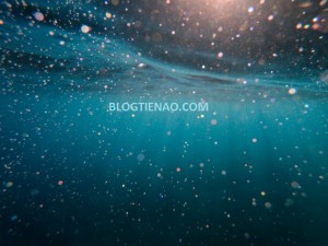 Ảnh của Bitcoin [BTC] hóa ra là một bong bóng.