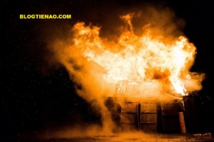 Ảnh của Bitcoin sẽ đạt được sự chấp nhận hàng loạt sau cuộc khủng hoảng thị trường chứng khoán toàn cầu vào tháng 11 năm 2018.