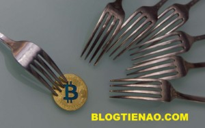 Ảnh của Giá Bitcoin Cash tăng 10% sau khi Binance, Bitcoin.com tiết lộ kế hoạch Hard Fork.