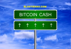 Ảnh của Tổng quan thị trường 05/11: Bitcoin Cash pump mạnh nhờ Hard Fork của nó nhận được sự hỗ trợ từ Binance.