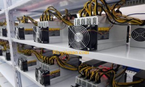 Ảnh của Máy đào ASIC là gì? Mua bán các loại máy đào ASIC ở đâu uy tín?