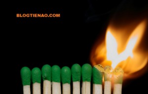 Ảnh của Đồng coin nào sẽ kích hoạt đợt ‘go to the moon’ tiếp theo?