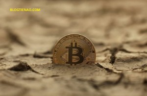 Ảnh của Giá bitcoin hôm nay (13/11): Bitcoin đang tạo đáy?