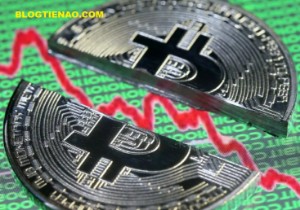 Ảnh của Phần cuối: Bong bóng crypto đầu tiên là một thảm họa do chính bạn góp phần tạo ra.