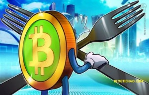 Ảnh của Cuộc chiến hard fork Bitcoin Cash: Bitcoin SV vs Bitcoin ABC