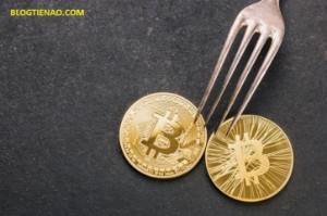 Ảnh của Mua hay bán? Các nhà đầu tư crypto nghĩ gì về đợt hard fork Bitcoin Cash lần này.