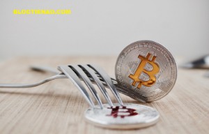 Ảnh của Bitcoin Cash hard fork, cuộc chiến bắt đầu.