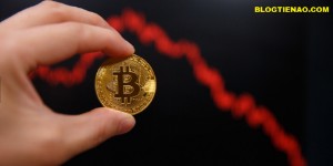 Ảnh của Phân tích giá Bitcoin 27/11: Giá Bitcoin tiếp tục chảy máu khi thị trường không tìm thấy đáy.