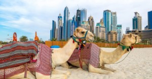 Ảnh của Al Hilal của UAE trở thành ngân hàng đầu tiên phát hành trái phiếu tuân thủ Sharia trên Blockchain