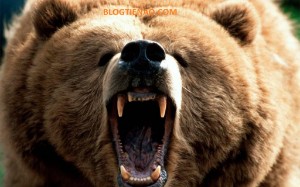 Ảnh của Nhìn lại tháng 11: Bitcoin có sự sụt giảm hàng tháng tồi tệ nhất trong 7 năm qua.