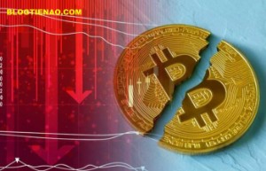 Ảnh của Phe bò hỏi đáy Bitcoin ở đâu?